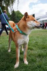 IMG_4492