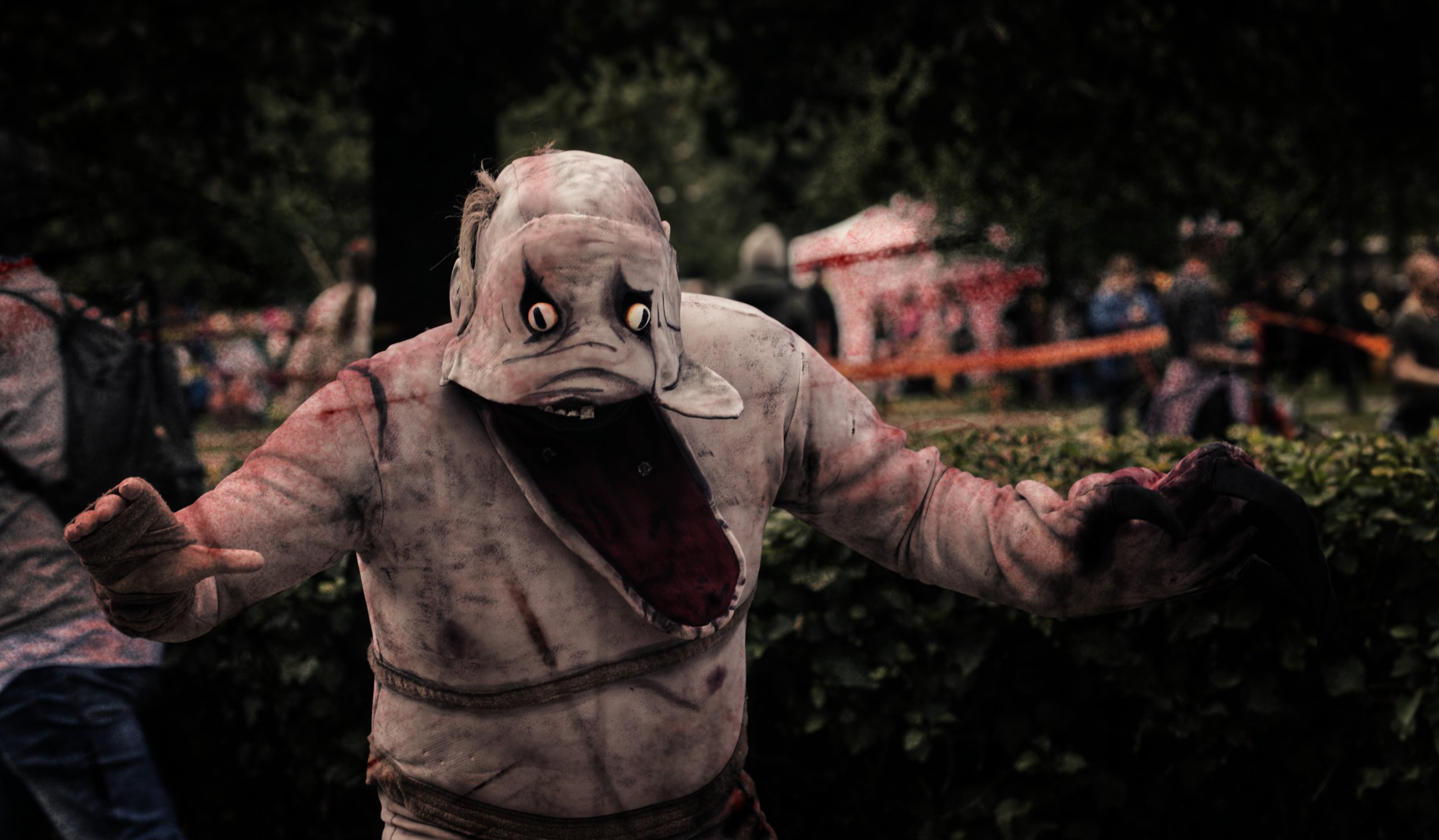 Tracon31