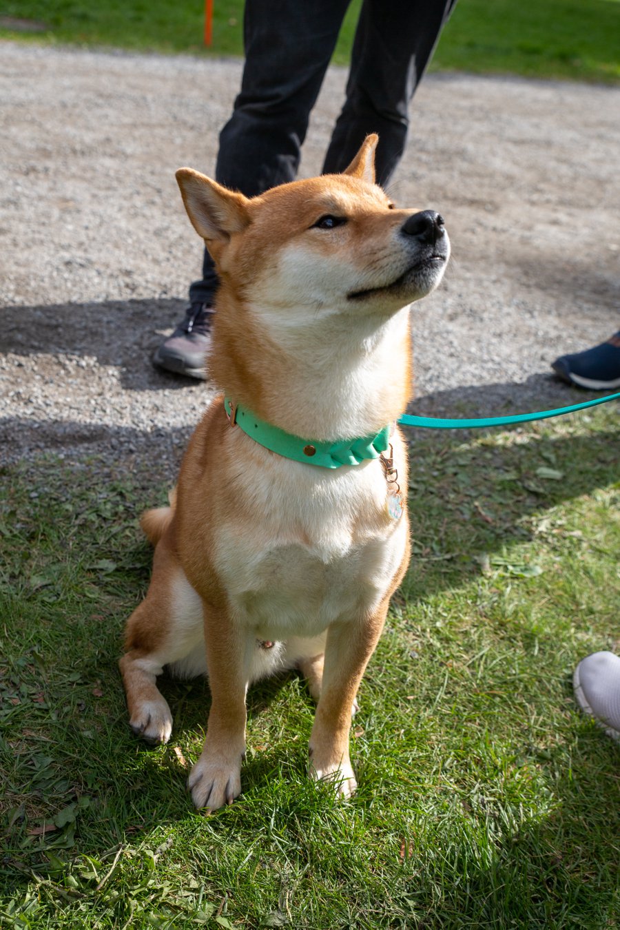 20220904_Tracon_sunnuntai_004