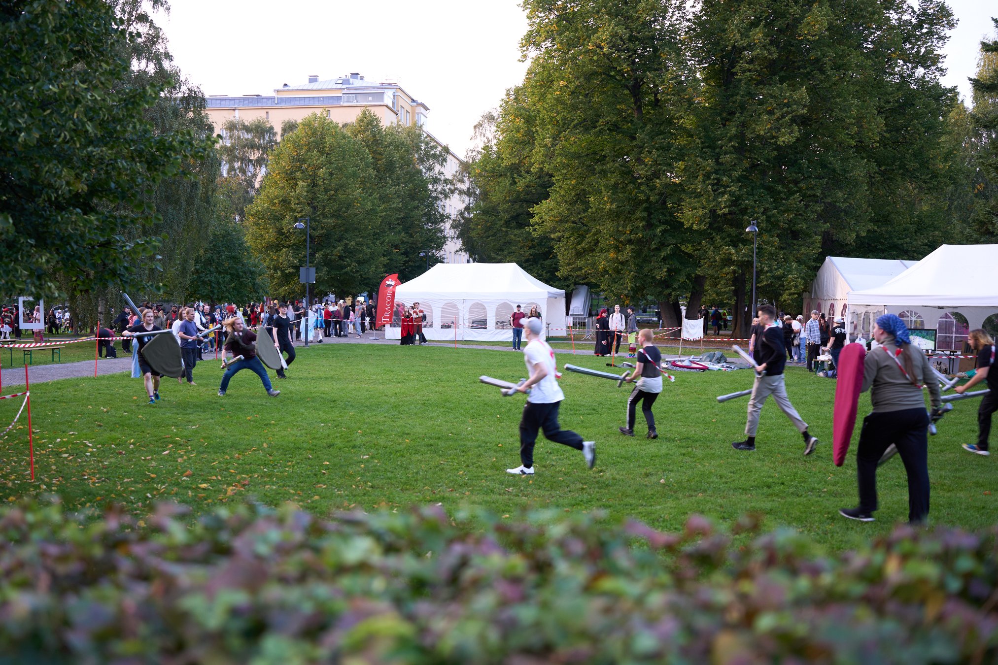 DSC07466_