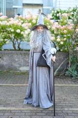 DSC07974_