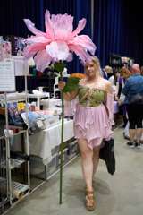 DSC08252_