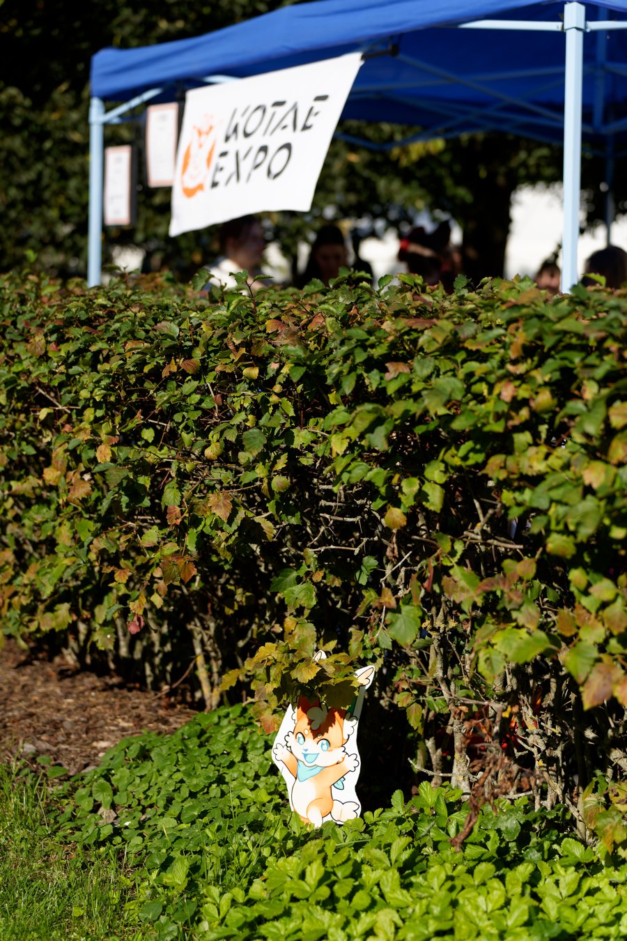 DSC04973_DxO