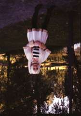 img791