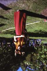 img795