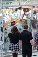 IMG_0095