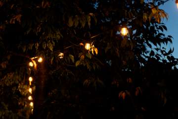 DSC00422_DxO