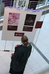 IMG_0334