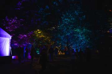 DSC09028