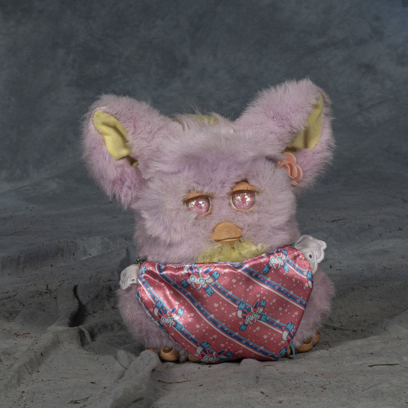 4O9A5256