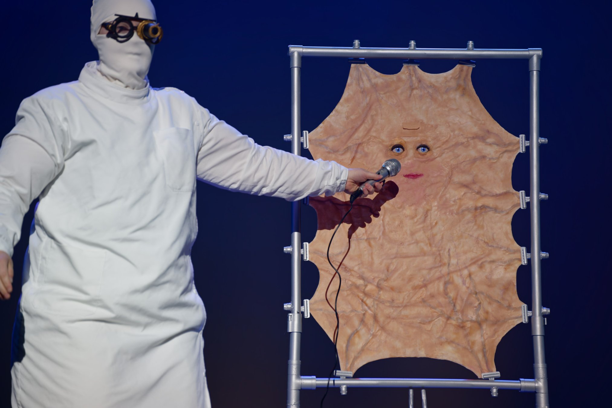 TRA01222-Sunnuntai_Cosplay_Tracon2026_emilmeemu_no_305