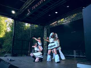 Sasetar - IG saijasasetar (43)
