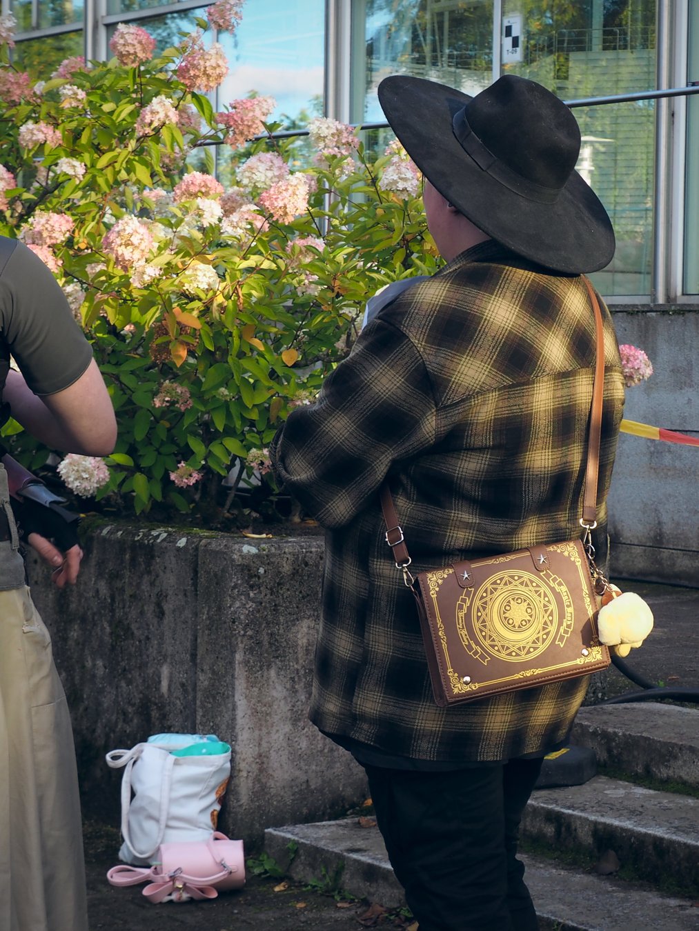 Sasetar - IG saijasasetar (50)