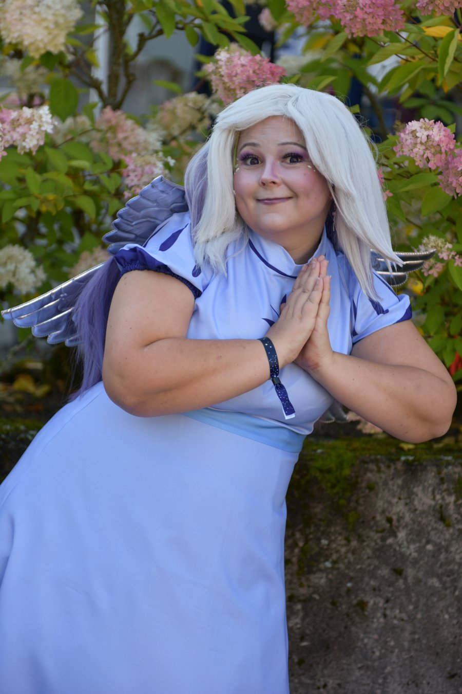 DSC_2411