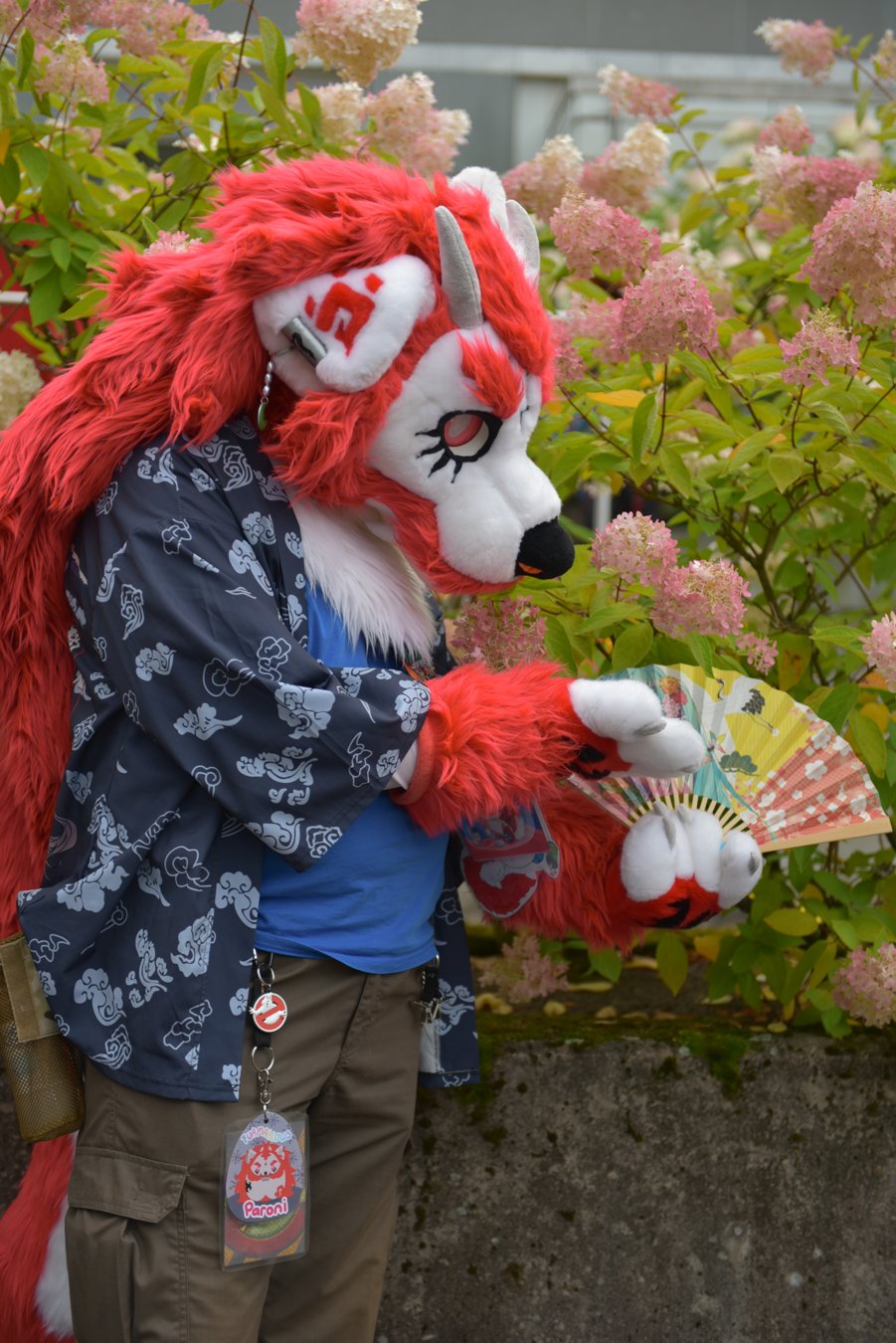 DSC_2711