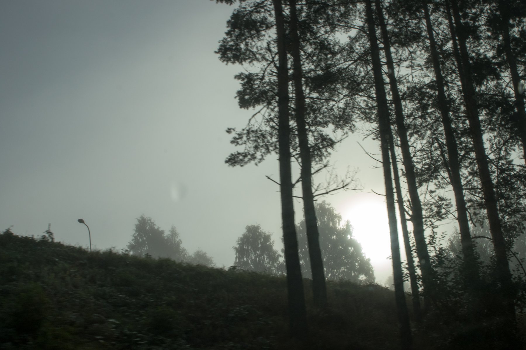 Tracon_2015_su_Suominen-005