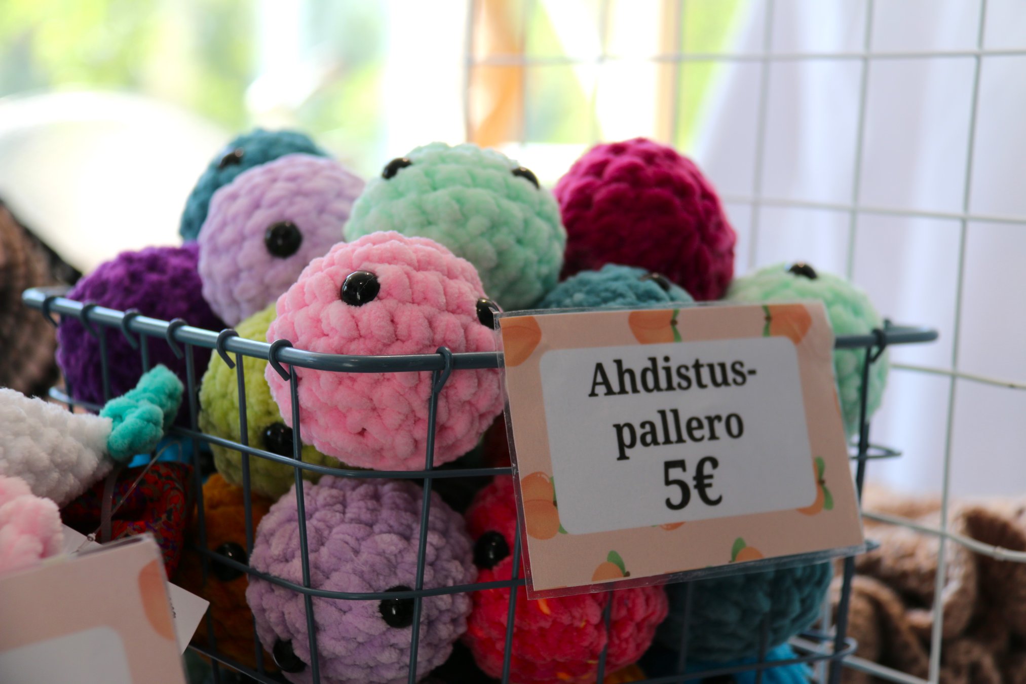 IMG_9135