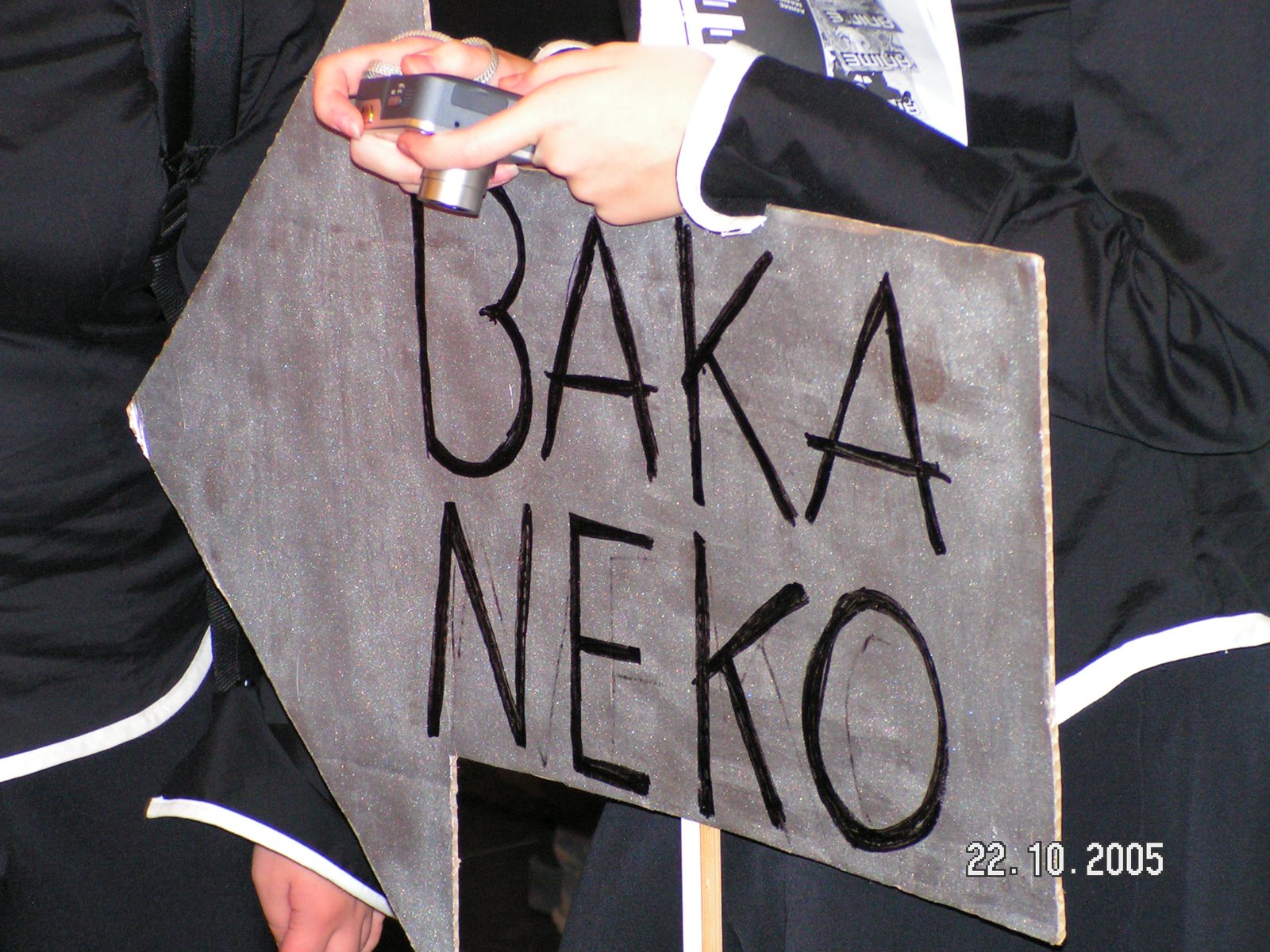 PICT2528
