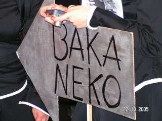 PICT2528