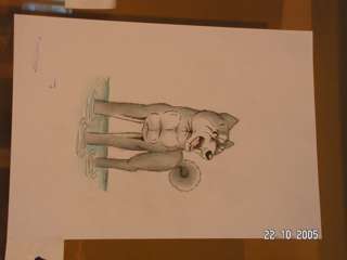 PICT2571