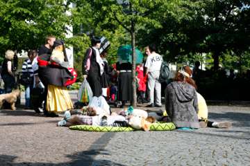 _MG_8484-151