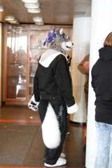 IMG_6292_(Large)