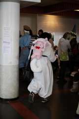 IMG_6323_(Large)