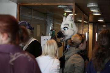 IMG_6374_(Large)
