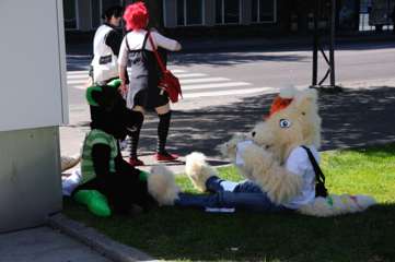 2010-07-03-153242