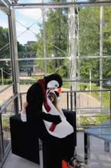 2010-07-03-174938