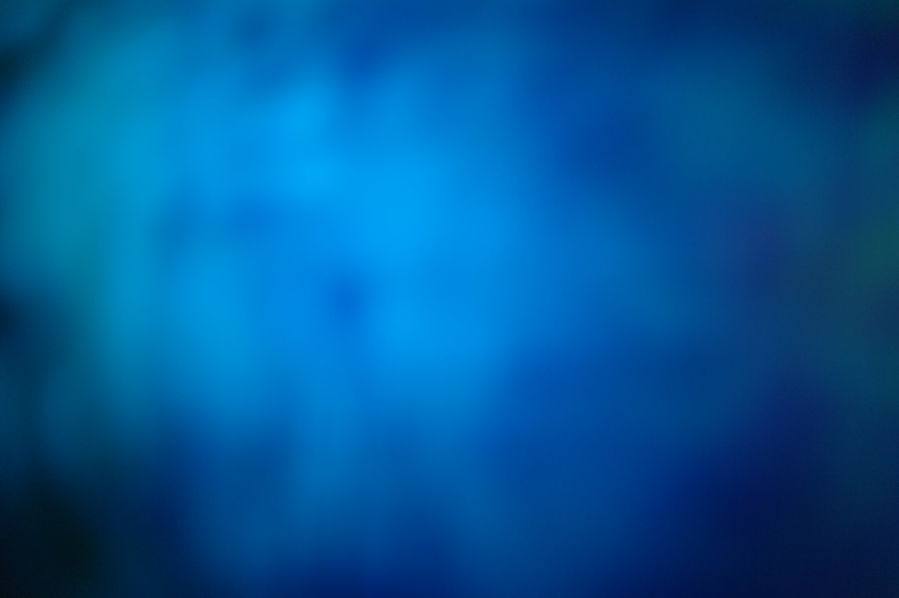 SAM_0615