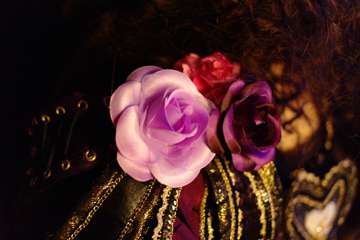 SAM_0669