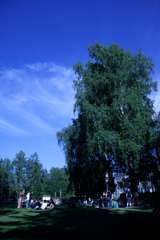 IMG_8576
