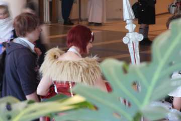 IMG_0934