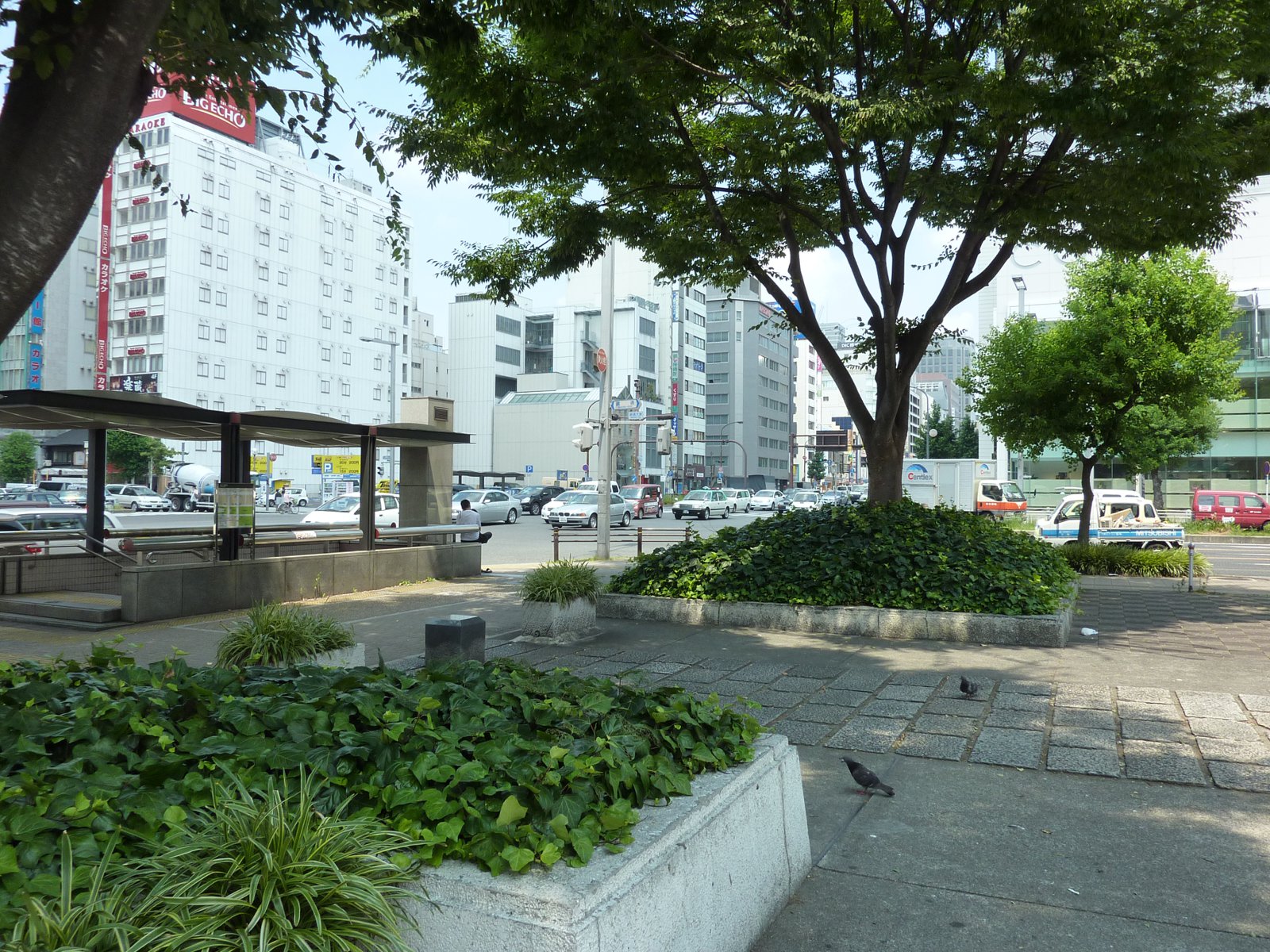 P1000156