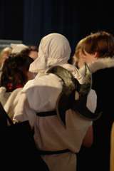 IMG_4497