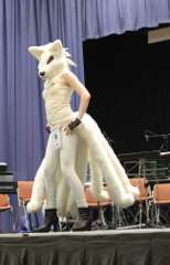 SAM_6407