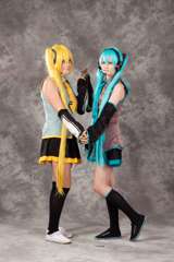 Desucon_2012-011