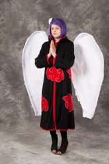Desucon_2012-538