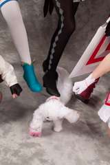 Desucon_2012-578