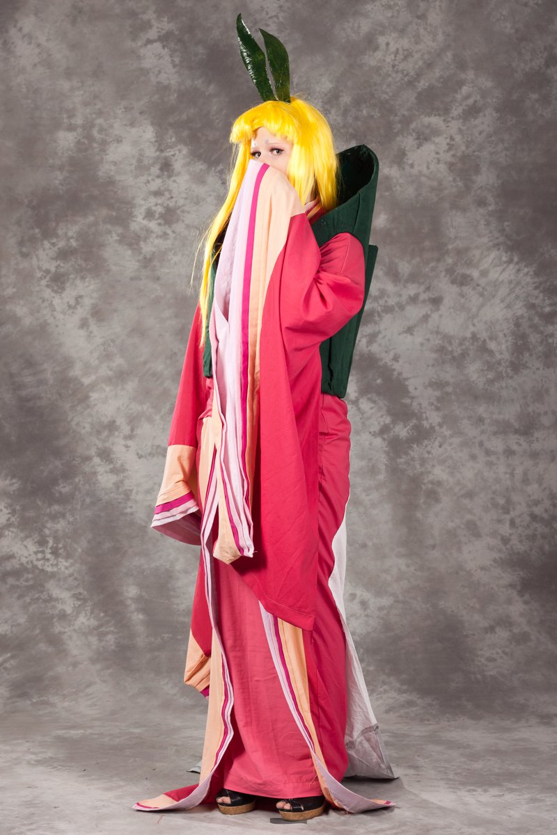 Desucon_2012-665