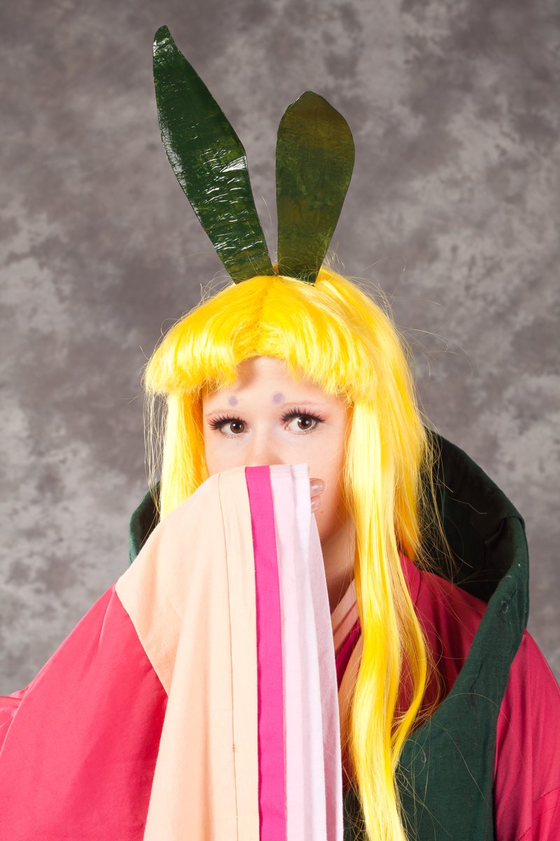 Desucon_2012-666