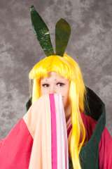 Desucon_2012-666