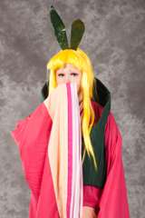 Desucon_2012-668