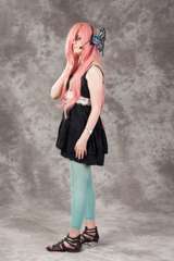Desucon_2012-712