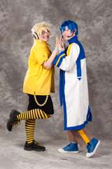 Desucon_2012-722