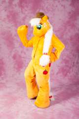 Desucon_Frostbite_2012-2428