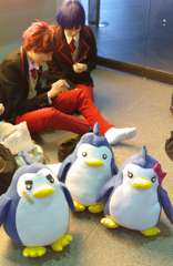 SAM_9880