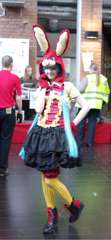 SAM_9948