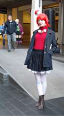 SAM_9956